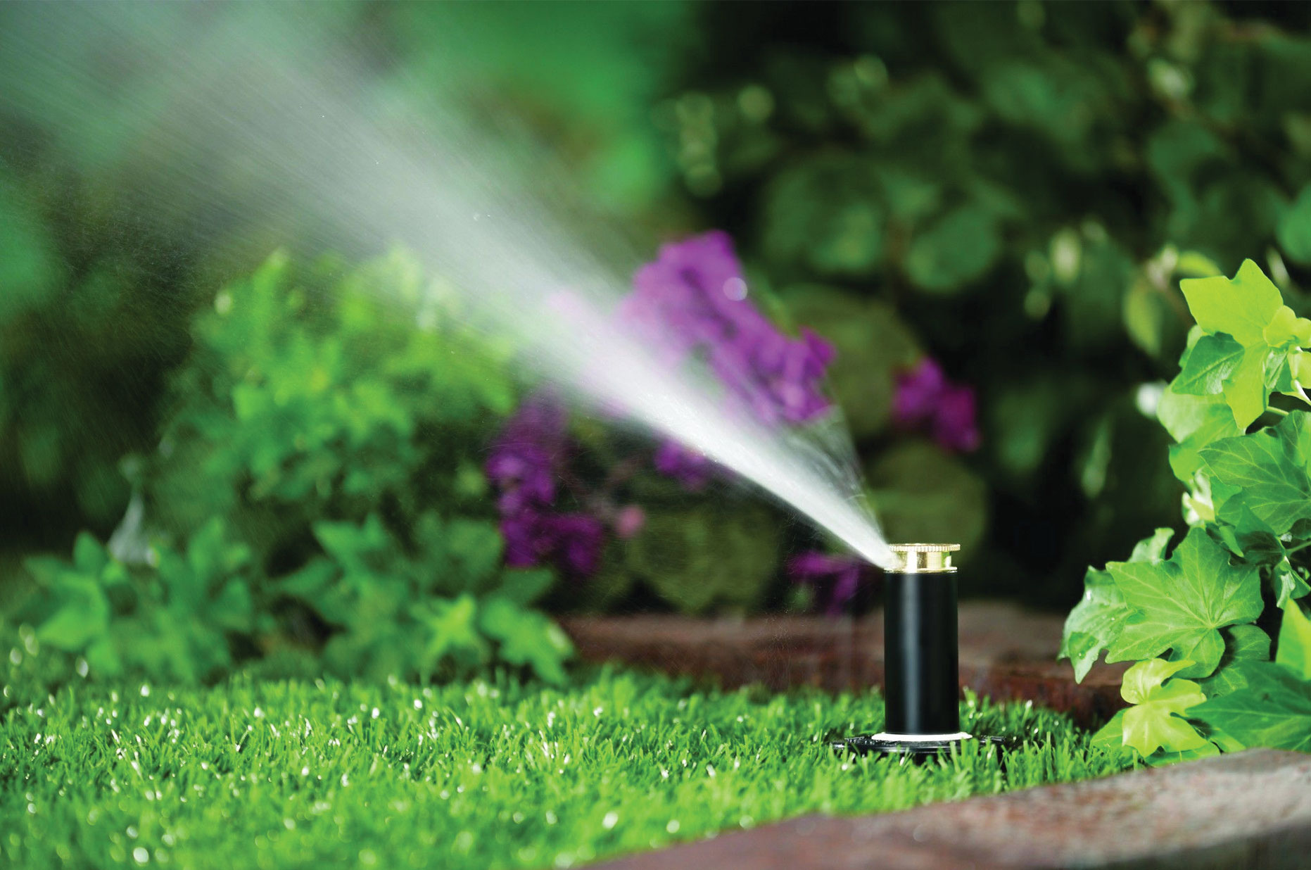 Edina Landscape Maintenance & Care